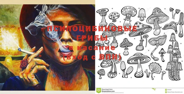 apvp Ельня