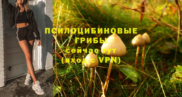 дмт Заволжск