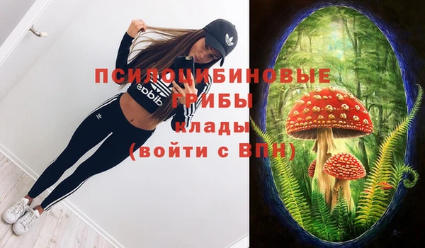 дмт Заволжск