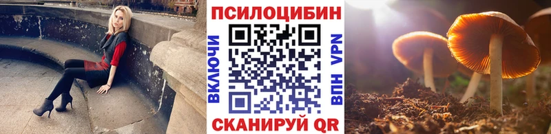 Купить где  Красноуральск  Галлюциногенные грибы Magic Shrooms 